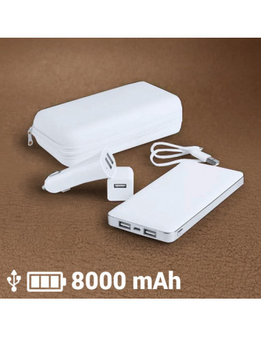 Ladegerät-Satz 8000 mAh (3 pcs) 144967