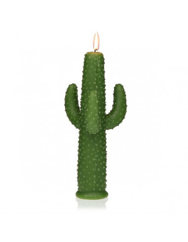 Vela Parafina Cactus