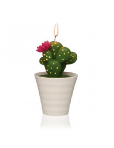 Vela Parafina Cactus