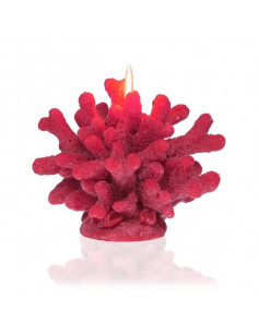 Vela Parafina Coral