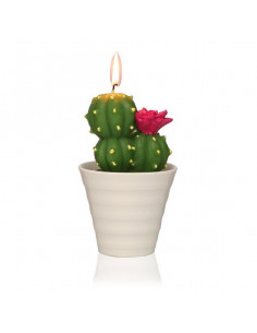 Vela Parafina Cactus