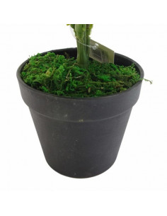 Planta Decorativa LEAF-7145... 2