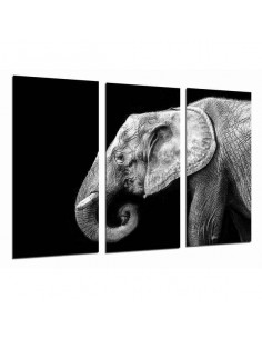 Satz mit 3 Bildern PST26855...