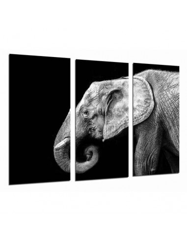 Satz mit 3 Bildern PST26855 Elefant...