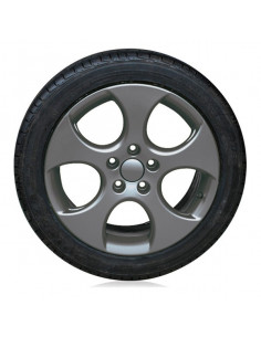 Goma Líquida para Coches... 2