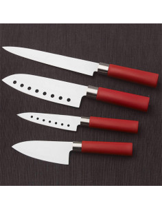 Cecotec Santoku Messer mit...