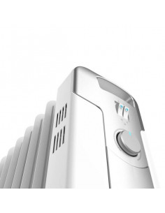 Radiador de Aceite (11... 2