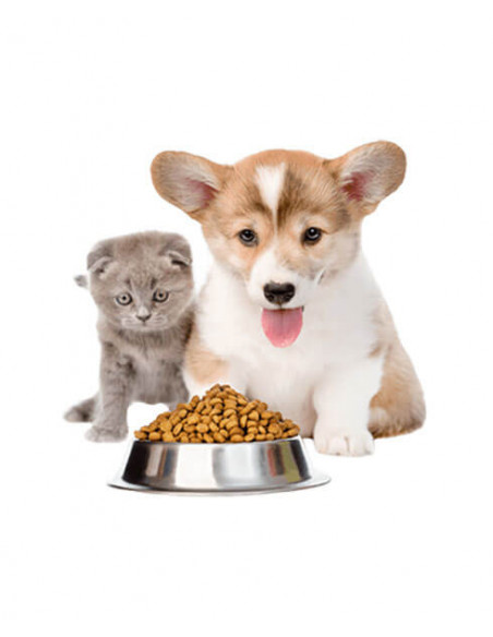 Alimentación de mascotas
